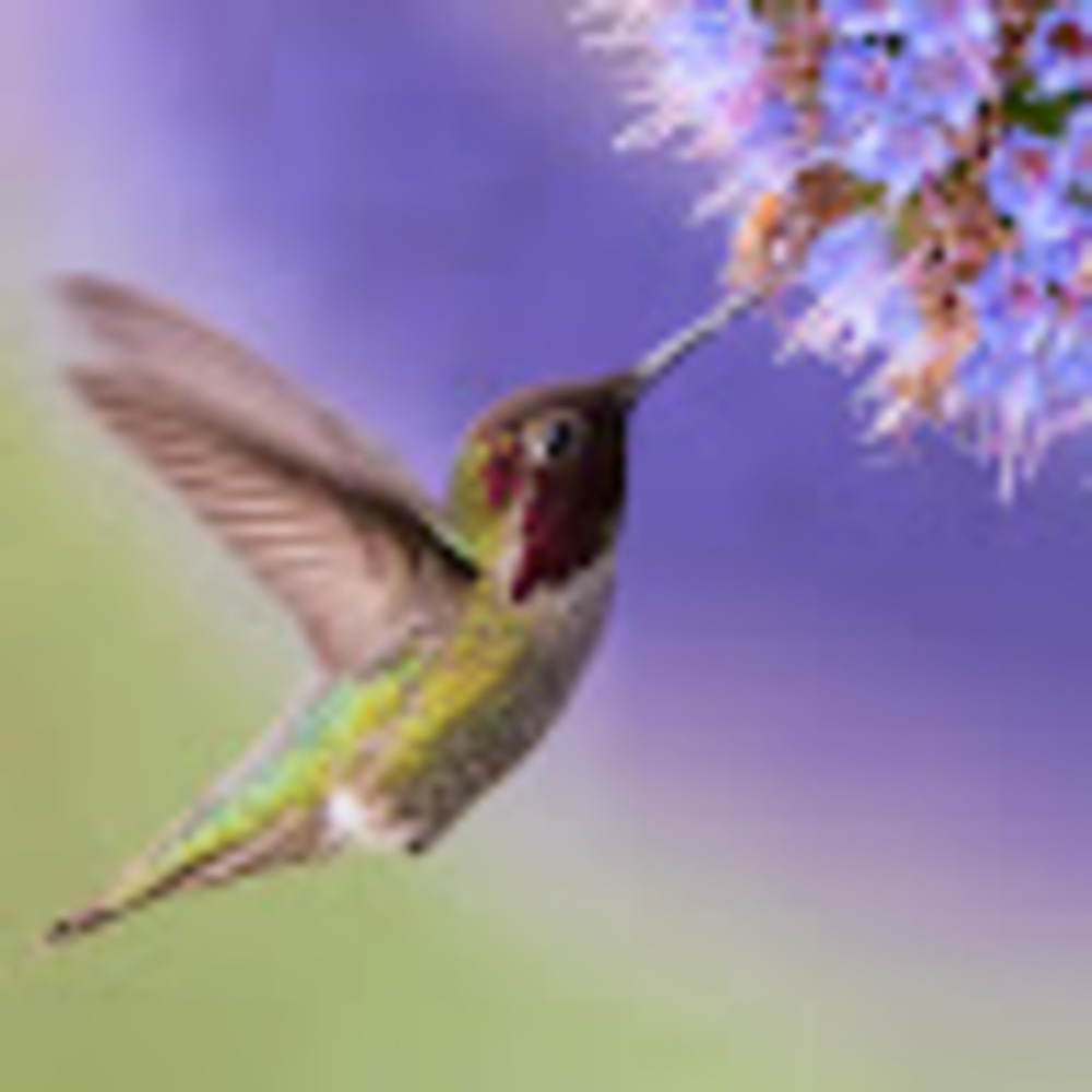 Meet your Posher, Autumn